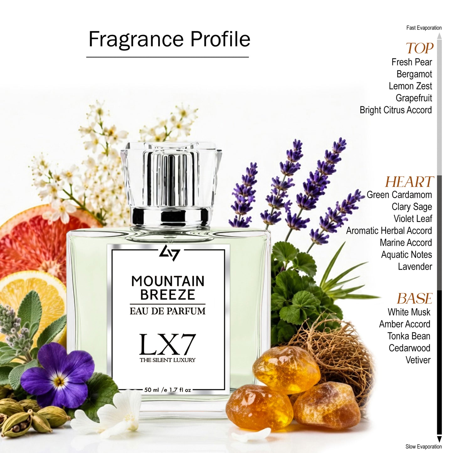 Mountain Breeze