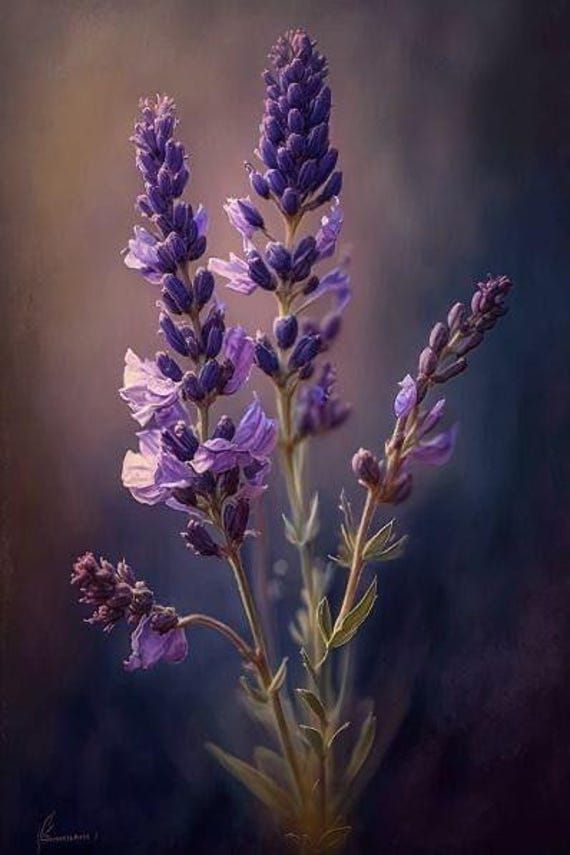 HERBS & MARINE